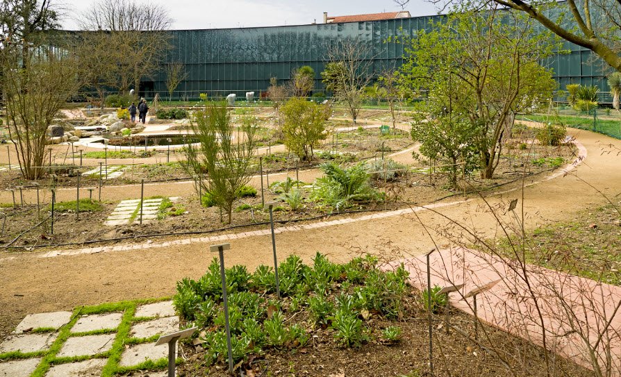 Jardin botanique Henri-Gaussen, Toulouse, France, France